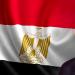 الرئيس السيسي يستقبل رئيس جمهورية الصومال - تليجراف الخليج
