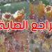 القصرين: تراجع صابة التين الشوكي بسبب الحشرة القرمزية - تليجراف الخليج