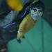 مصير كل شخصية رئيسية في Death Stranding 2 – الجزء الأول - تليجراف الخليج