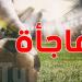 عاجل: مفاجأة مدوّية تُشعل حماس عشاق الكرة الأوروبية! - تليجراف الخليج