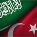 وزيرا خارجية السعودية وتركيا يبحثان الاعتداءات الإسرائيلية على سوريا - تليجراف الخليج