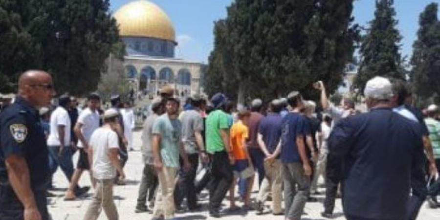 أكثر من 350 مستوطنا يقتحمون باحات المسجد الأقصى بحماية شرطة الاحتلال - تليجراف الخليج