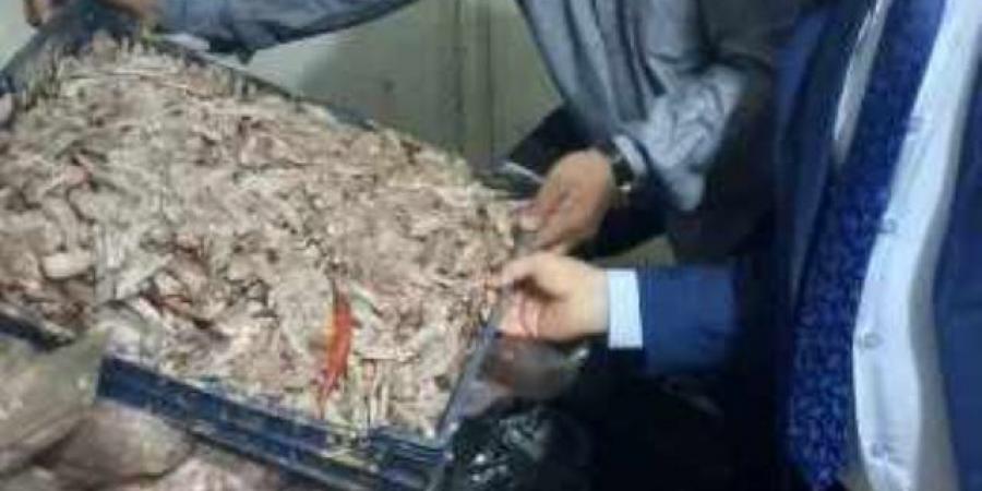 محافظة الجيزة تضبط منشأة تنتج لانشون وسجق وبرجر من جلود وعظام الدواجن - تليجراف الخليج