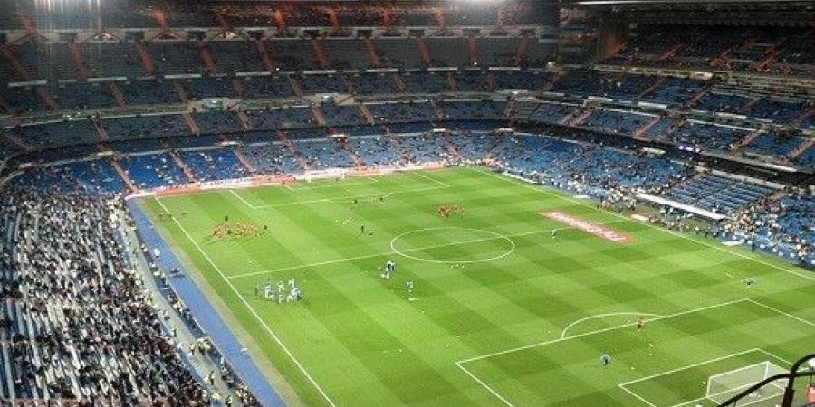 نيوكاسل يحول تأخره لفوز مثير على وولفرهامبتون في الدوري الإنكليزي - تليجراف الخليج