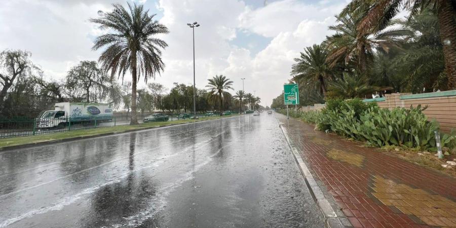 12:09 أمطار خفيفة إلى غزيرة.. الحصيني يكشف تفاصيل الحالة الحادية عشرة - تليجراف الخليج
