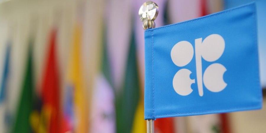 تقرير: “أوبك+” تسجل تراجعا في إنتاجها النفطي - تليجراف الخليج