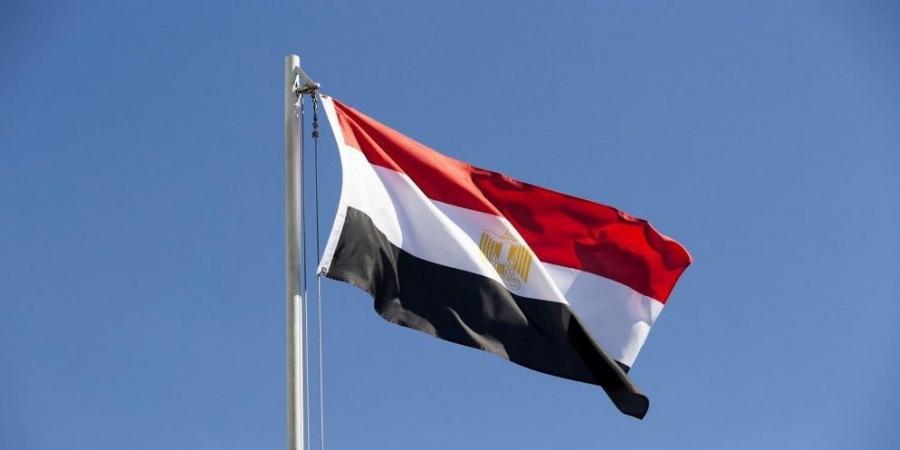 مصر تدعو المجتمع الدولي إلى التحرك فوراً لوقف العدوان على غزة - تليجراف الخليج