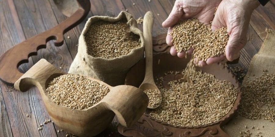 من الآيس كريم إلى القمح.. تعرف على صادرات روسيا الغذائية إلى الإمارات - تليجراف الخليج