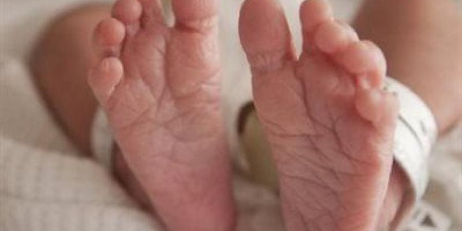 العثور على طفل رضيع ملقي بجوار منزل في الفيوم - تليجراف الخليج