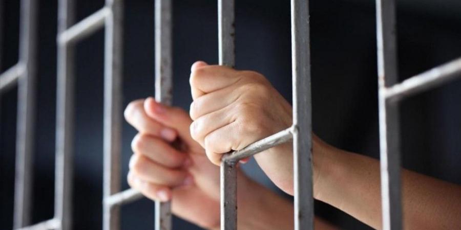 وزير العدل: بدائل الحبس في "معدل العقوبات" ستطبق على نزلاء بالسجون - تليجراف الخليج