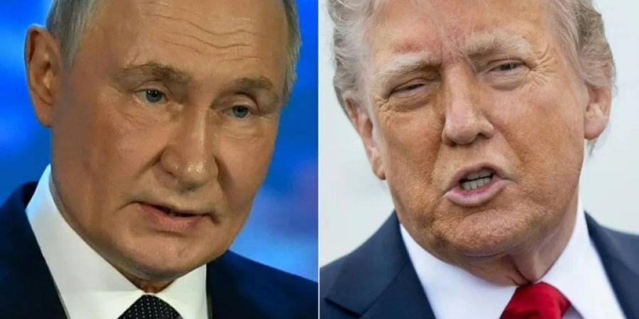 ترامب يتصل ببوتين اليوم لوقف حمام الدم في أوكرانيا - تليجراف الخليج