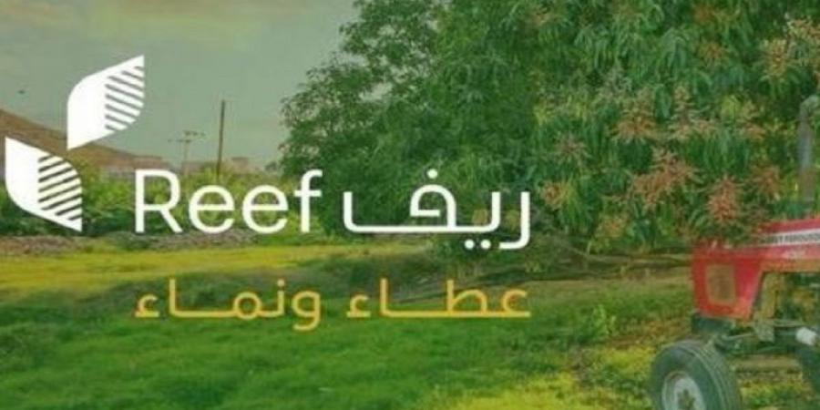 06:14 “ريف السعودية” ينظّم برنامجًا لتأهيل المرأة الريفية في صناعة الجلود بالخرج - تليجراف الخليج