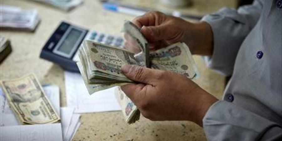 موعد صرف معاشات شهر يونيو 2025.. وطرق الاستعلام - تليجراف الخليج