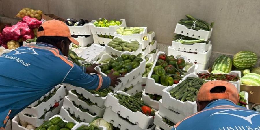 بحملة مشتركة.. ضبط 15 طن بضائع متنوعة من الباعة المخالفين في الدمام - تليجراف الخليج