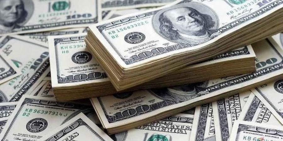 سعر الدولار اليوم الثلاثاء 20 مايو 2025 أمام الجنيه - تليجراف الخليج