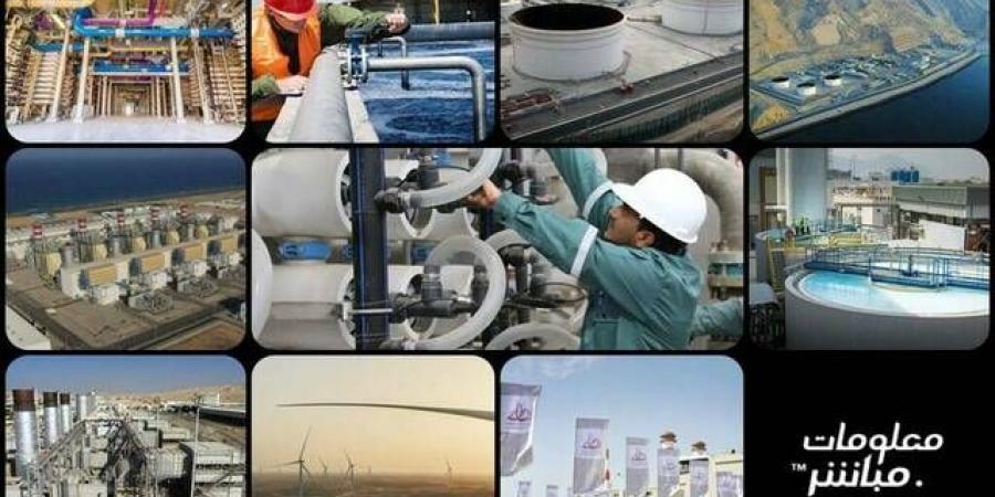 شركات الطاقة ببورصة مسقط تتحول لخسائر خلال الربع الأول من 2025 - تليجراف الخليج