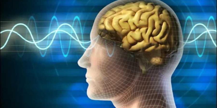 هل تعلم أن أنواع الذكاء 9 لدى الإنسان؟ .. اعرف نوعك - تليجراف الخليج