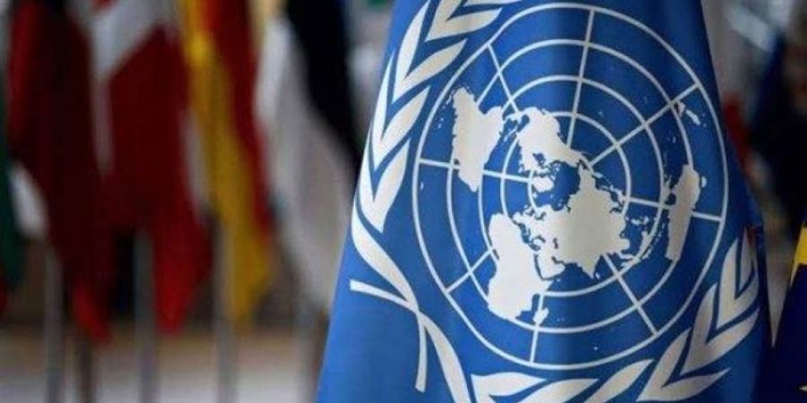 مسؤول أممي: المساعدات الإنسانية التي تدخل غزة غير كافية على الإطلاق - تليجراف الخليج