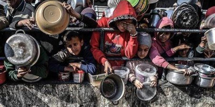 مدريد تجمع العرب والغرب لدفع حل الدولتين ووقف حرب غزة - تليجراف الخليج