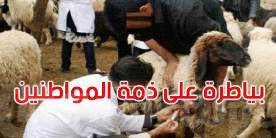 عاجل: فريق من البياطرة على ذمة المواطنين يوم العيد: التفاصيل - تليجراف الخليج