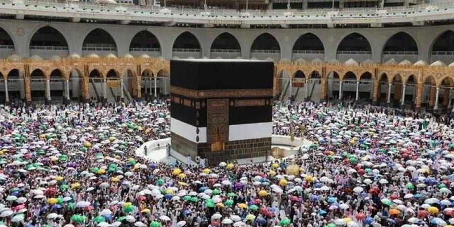 المنظومة الصحية تواصل تقديم أكثر من 102 ألف خدمة لحجاج بيت الله - تليجراف الخليج