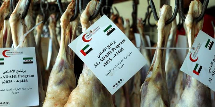 الهلال الأحمر الإماراتي يقدم 3000 أضحية للأسر السورية المحتاجة بمناسبة عيد الأضحى - تليجراف الخليج
