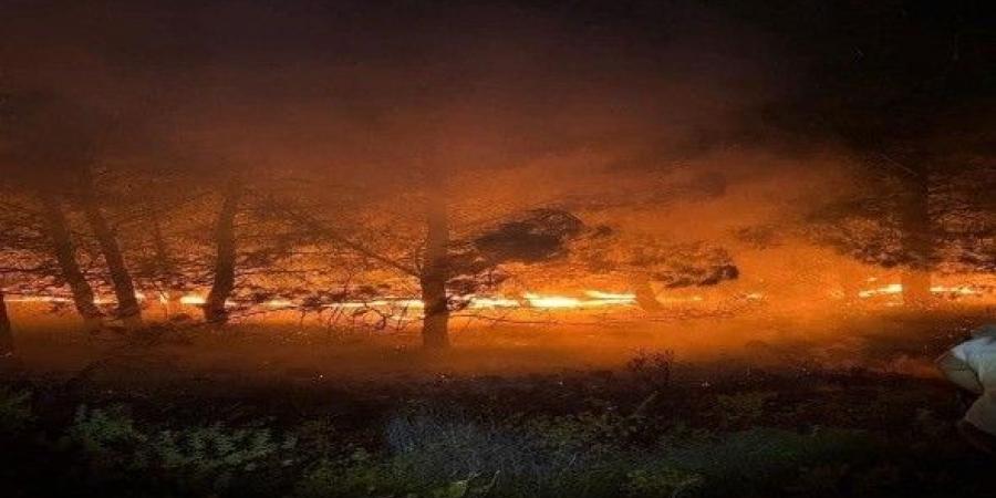 شركات النفط تخلي مواقعها بعد حرائق غابات كندا - تليجراف الخليج
