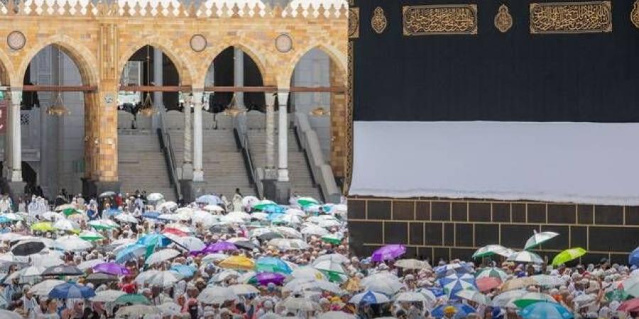 وزارة الحج والعمرة تتيح إصدار شهادات إلكترونية للحجاج عبر تطبيق "نسك" - تليجراف الخليج