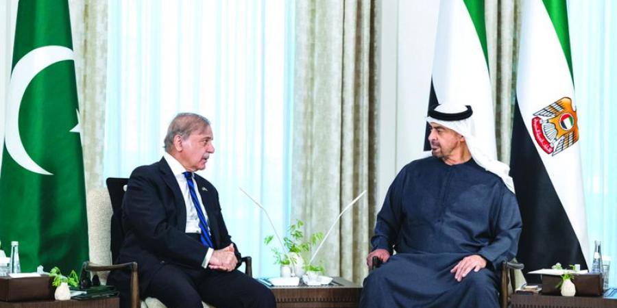 رئيس الدولة ورئيس وزراء باكستان يبحثان علاقات التعاون بين البلدين - تليجراف الخليج