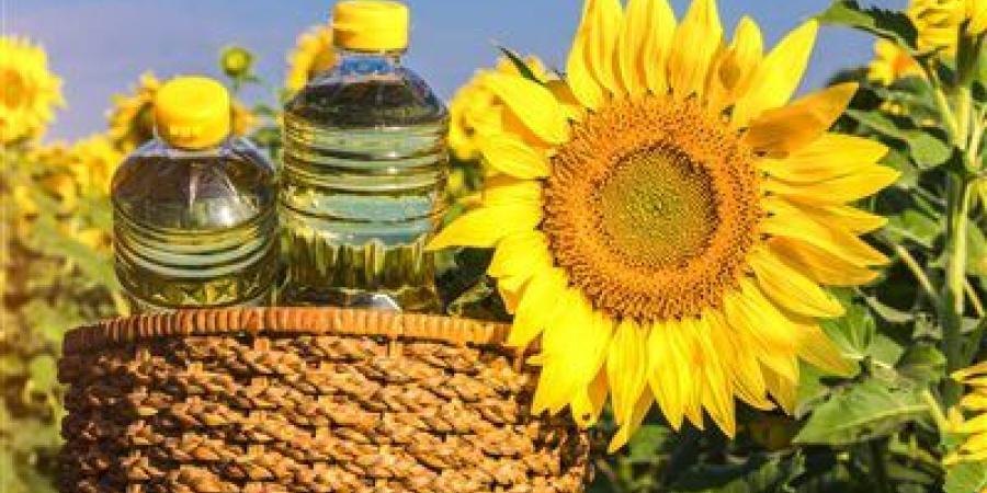 كيف تواجه مصر تحديات التوسع في إنتاج المحاصيل الزيتية وتقليل الاستيراد؟ - تليجراف الخليج
