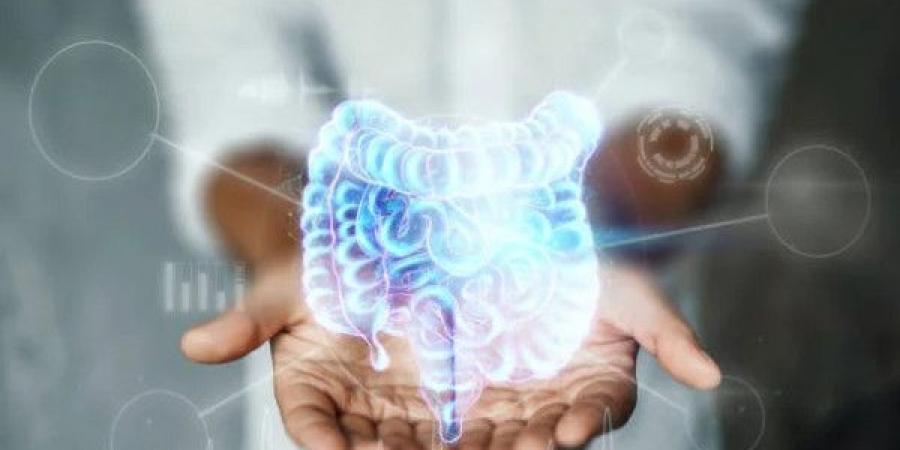 7 أطعمة لتنظيف الأمعاء وتحسين الهضم - تليجراف الخليج