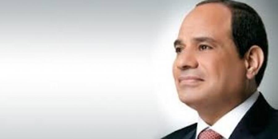 الرئيس السيسي: حريصون على زيادة دور القطاع الخاص في النشاط الاقتصادي والتنمية - تليجراف الخليج