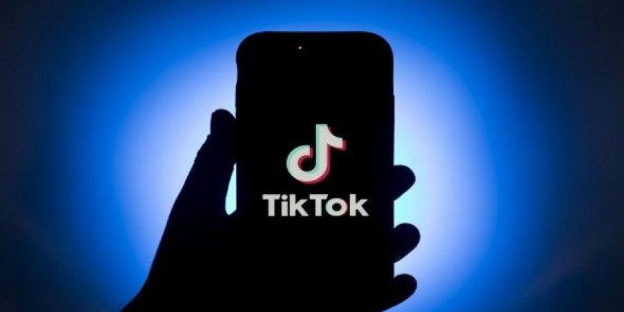 تطبيق TikTok يطلق ميزة الإشعارات للأطفال المفقودين بعرض صورهم - تليجراف الخليج