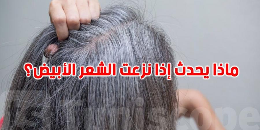 احذري نزع الشعر الأبيض: عادة شائعة قد تدمّر بصيلات شعركِ! - تليجراف الخليج