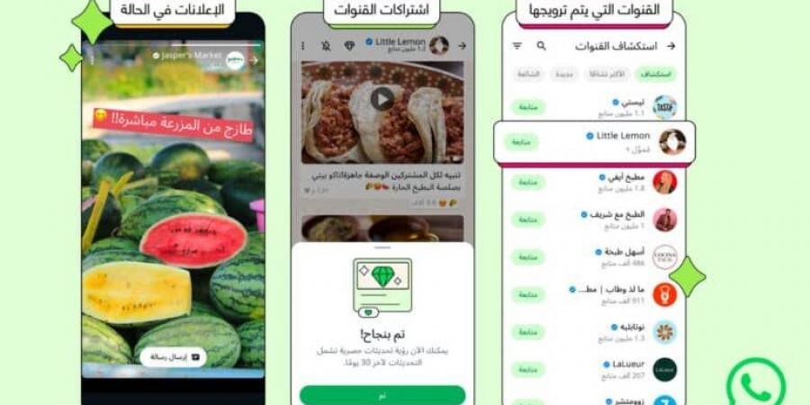 لأول مرة .. واتساب تبدأ عرض الإعلانات في تبويب “التحديثات” - تليجراف الخليج