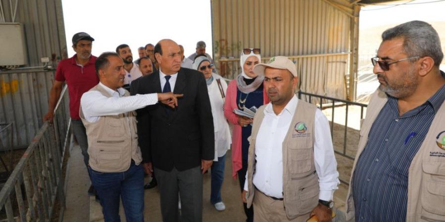 مركز البحوث الزراعية: تنفيذ 11 ألف تلقيحة اصطناعية في محطة الخناصري - تليجراف الخليج
