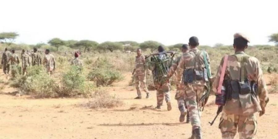 الصومال .. الجيش يستعيد منطقتين جنوبي البلاد من حركة الشباب الإرهابية - تليجراف الخليج