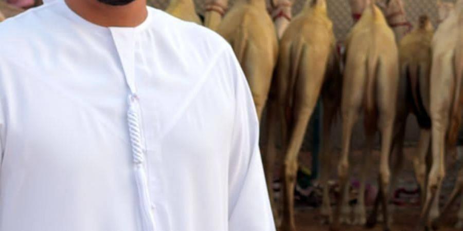 برنامج ترصيص لسن الفطامين بميدان الذيد لسباقات الهجن - تليجراف الخليج