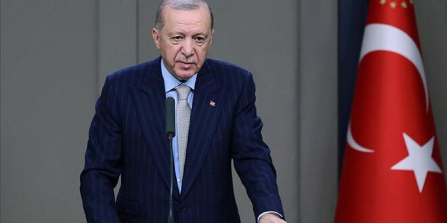 الرئيس أردوغان: تركيا ستواصل دعم استقرار سوريا - تليجراف الخليج