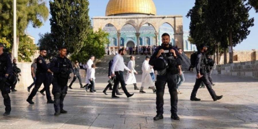 مستعمرون يقتحمون المسجد الأقصى بحماية قوات الاحتلال - تليجراف الخليج