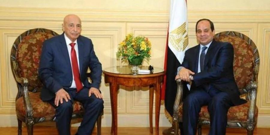 الرئيس المصري يدعو إلى خروج جميع القوات الأجنبية من ليبيا - تليجراف الخليج