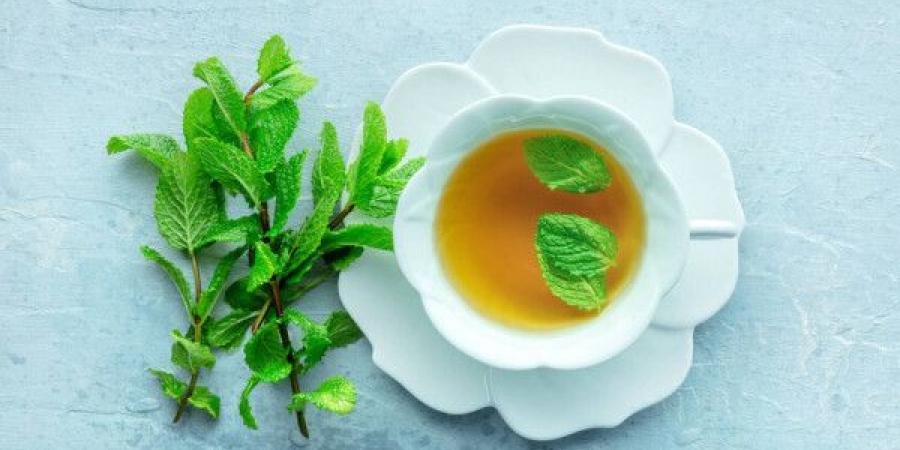 فوائد مذهلة لشاي النعناع - تليجراف الخليج