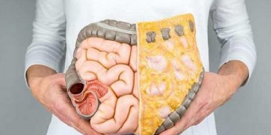 كوب تنظيف القولون.. ستخرج منك فضلات صلبة كالأحجار لم تخرج منذ سنين وسيخف بطنك بشكل كبير! - تليجراف الخليج