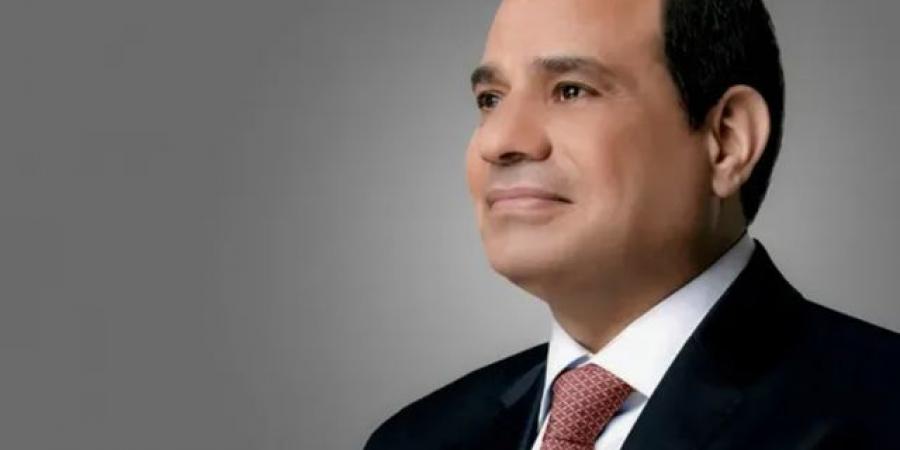 استقرار الأوضاع في القرن الإفريقي وأمن البحر الأحمر.. يتصدران كلمة الرئيس السيسي بالمؤتمر الصحفي مع نظيره الصومالي - تليجراف الخليج
