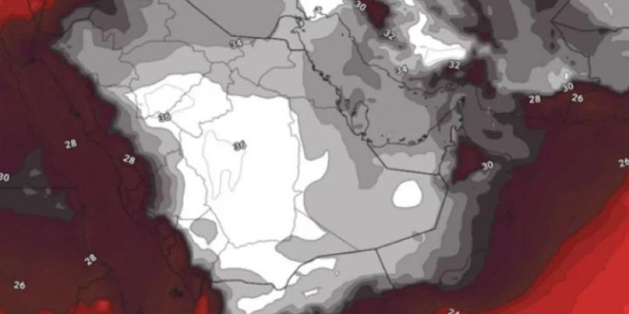 دول عربية تتجه لتسجيل 50 درجة مئوية نهاية الأسبوع - تليجراف الخليج