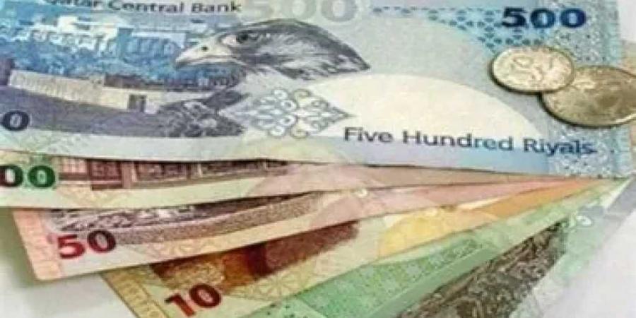 أسعار الريال القطري مقابل الجنيه المصري اليوم الأربعاء 9 يوليو 225 - تليجراف الخليج