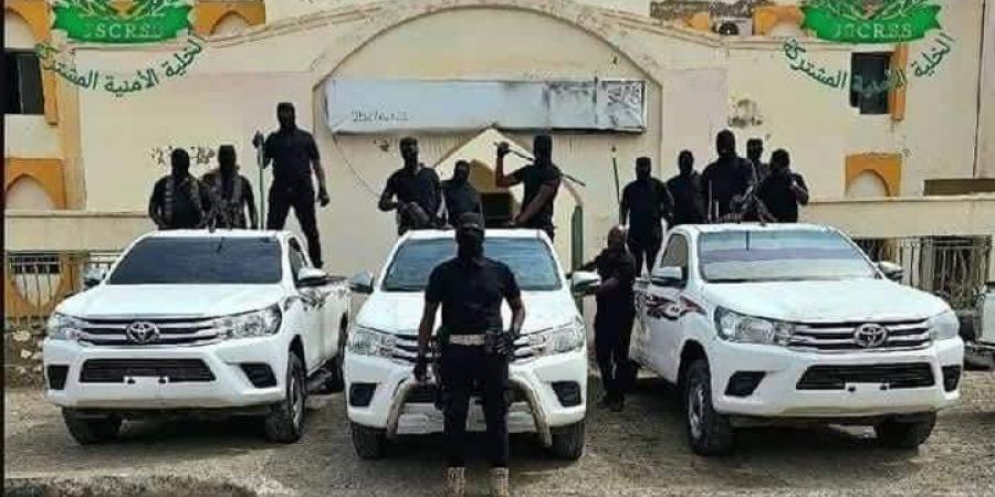 فضيحة تهز البحر الأحمر.. ضبط شبكة تزوير يقودها ضباط - تليجراف الخليج