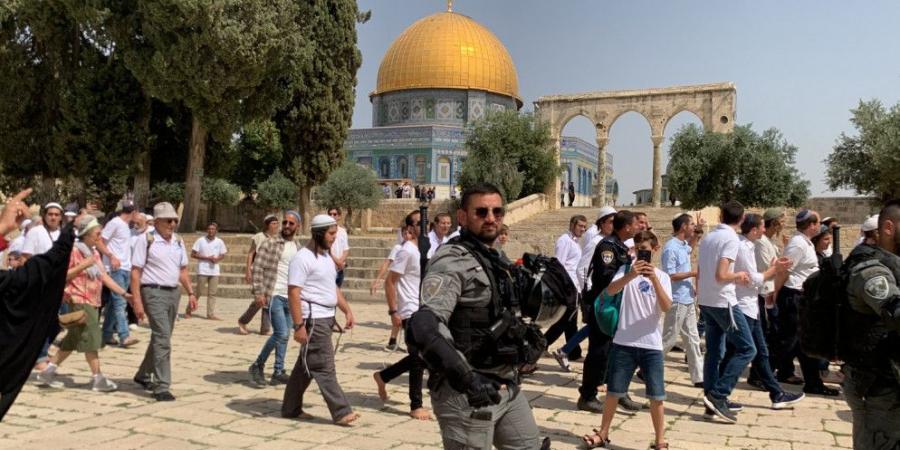 مستوطنون يقتحمون المسجد الأقصى بحماية شرطة الاحتلال - تليجراف الخليج