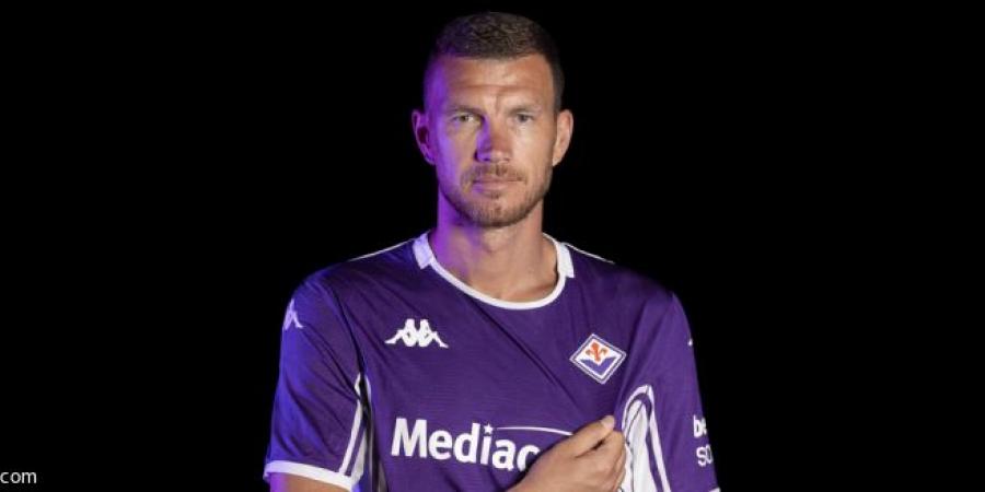 فيورنتينا يعيد دجيكو إلى إيطاليا - تليجراف الخليج