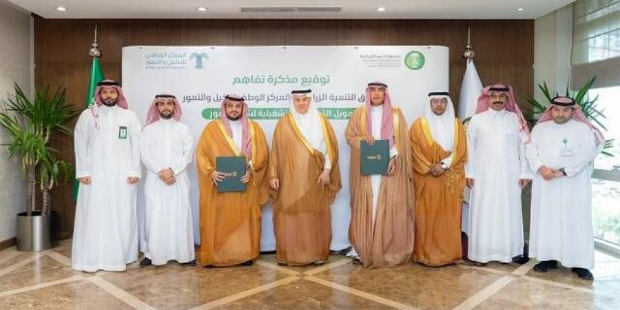 الصندوق الزراعي يوقّع مذكرة مع "مركز النخيل" لتمويل تكاليف شراء التمور - تليجراف الخليج